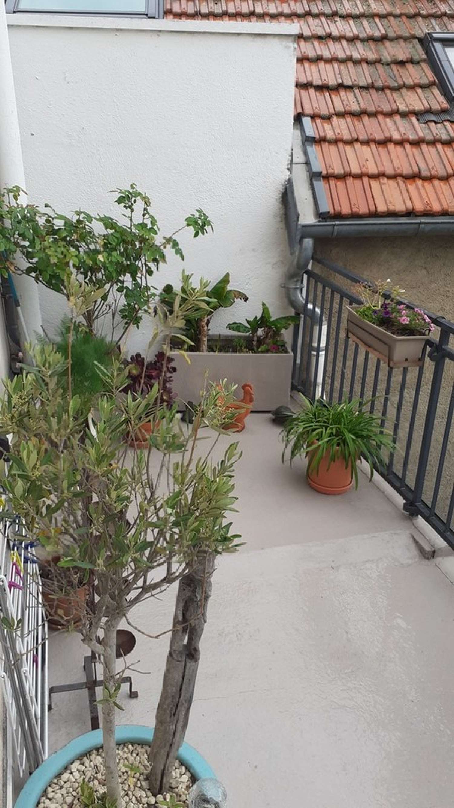  for sale apartment Néris-les-Bains Allier 3