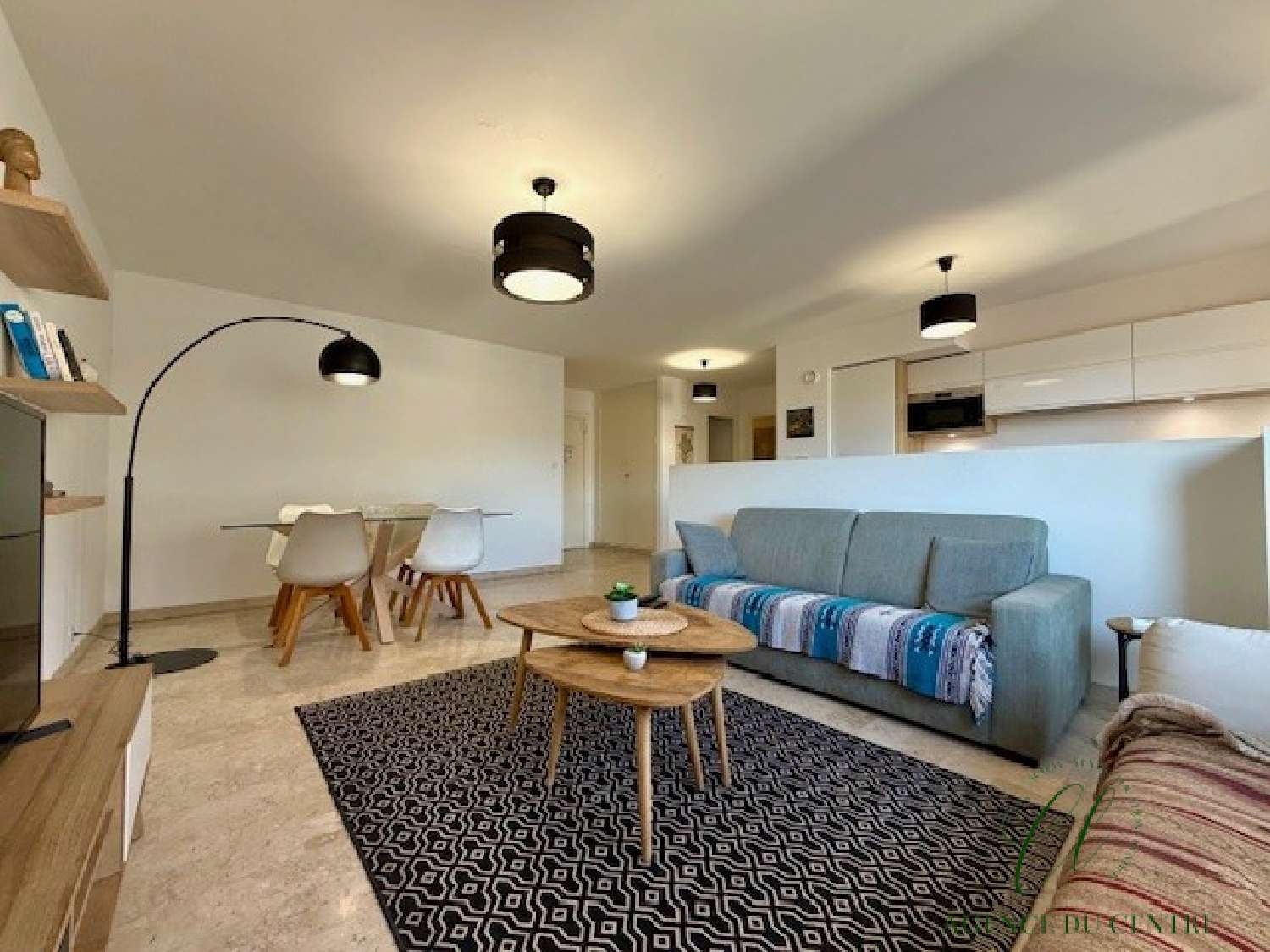  te koop appartement Nice Alpes-Maritimes 1