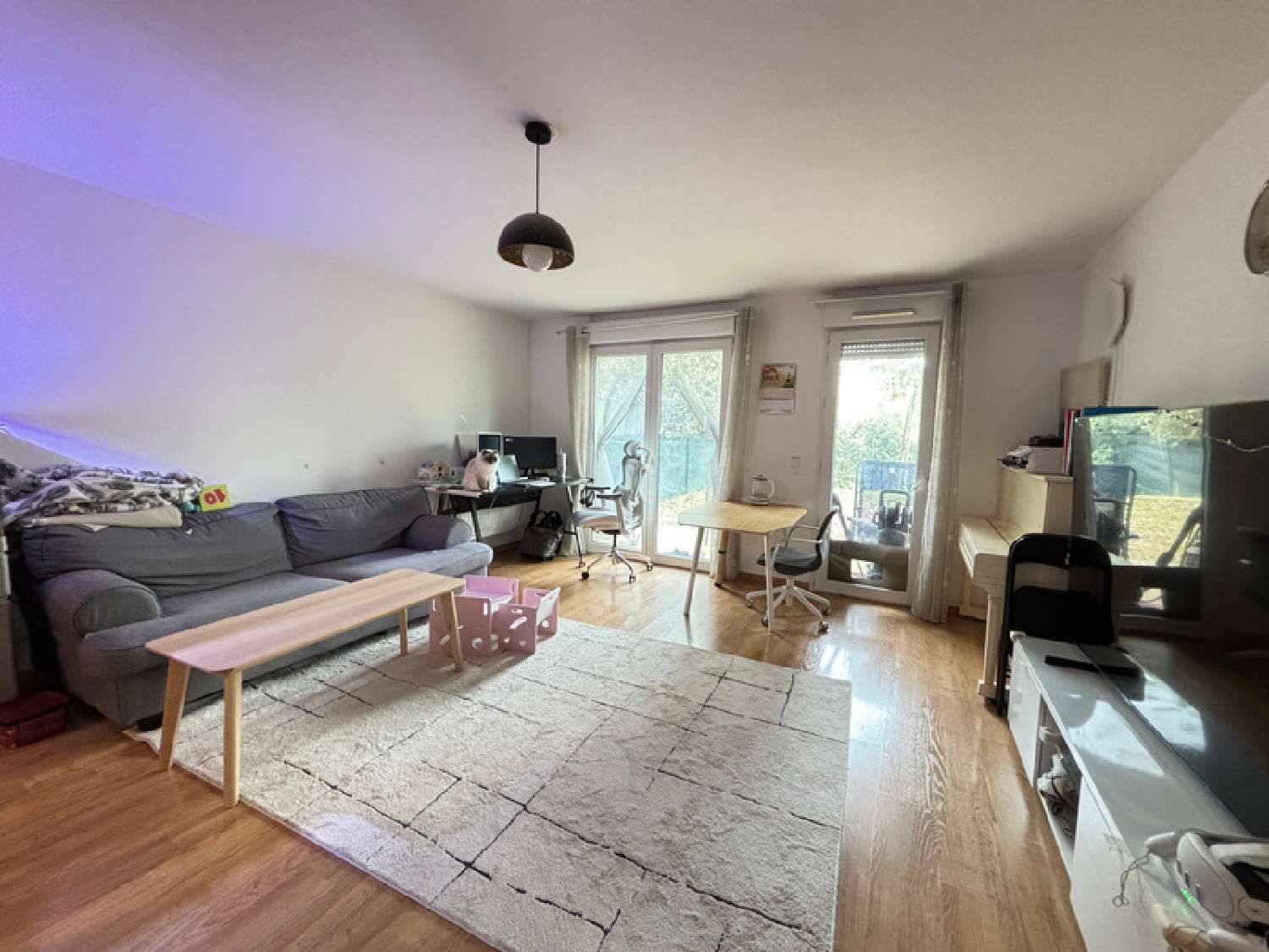 à vendre appartement Palaiseau Essonne 4