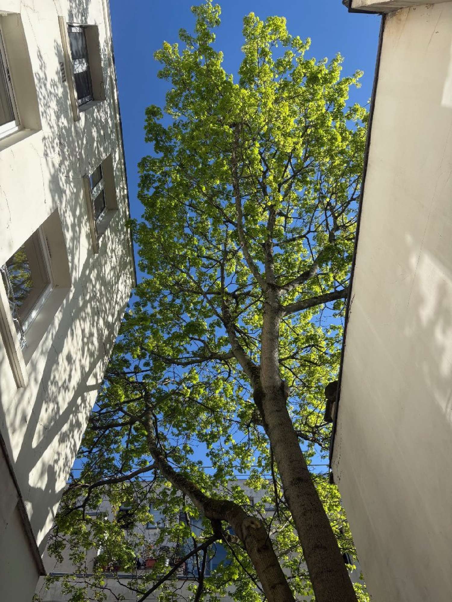  à vendre appartement Paris 11e Arrondissement Paris (Seine) 3