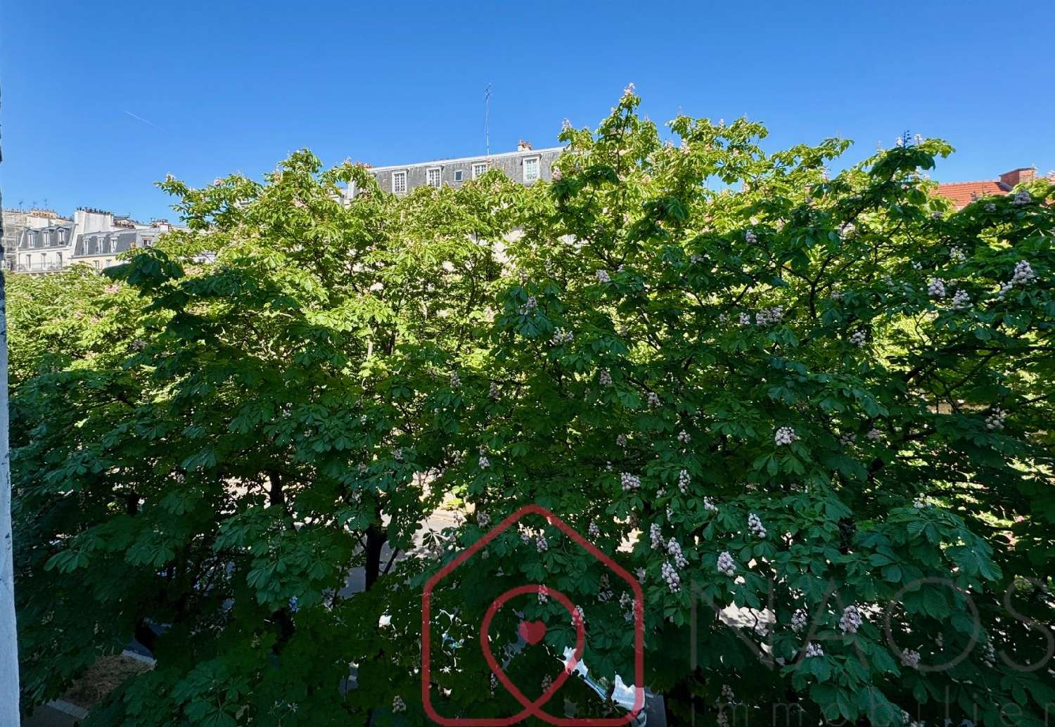  à vendre appartement Paris 13e Arrondissement Paris (Seine) 7
