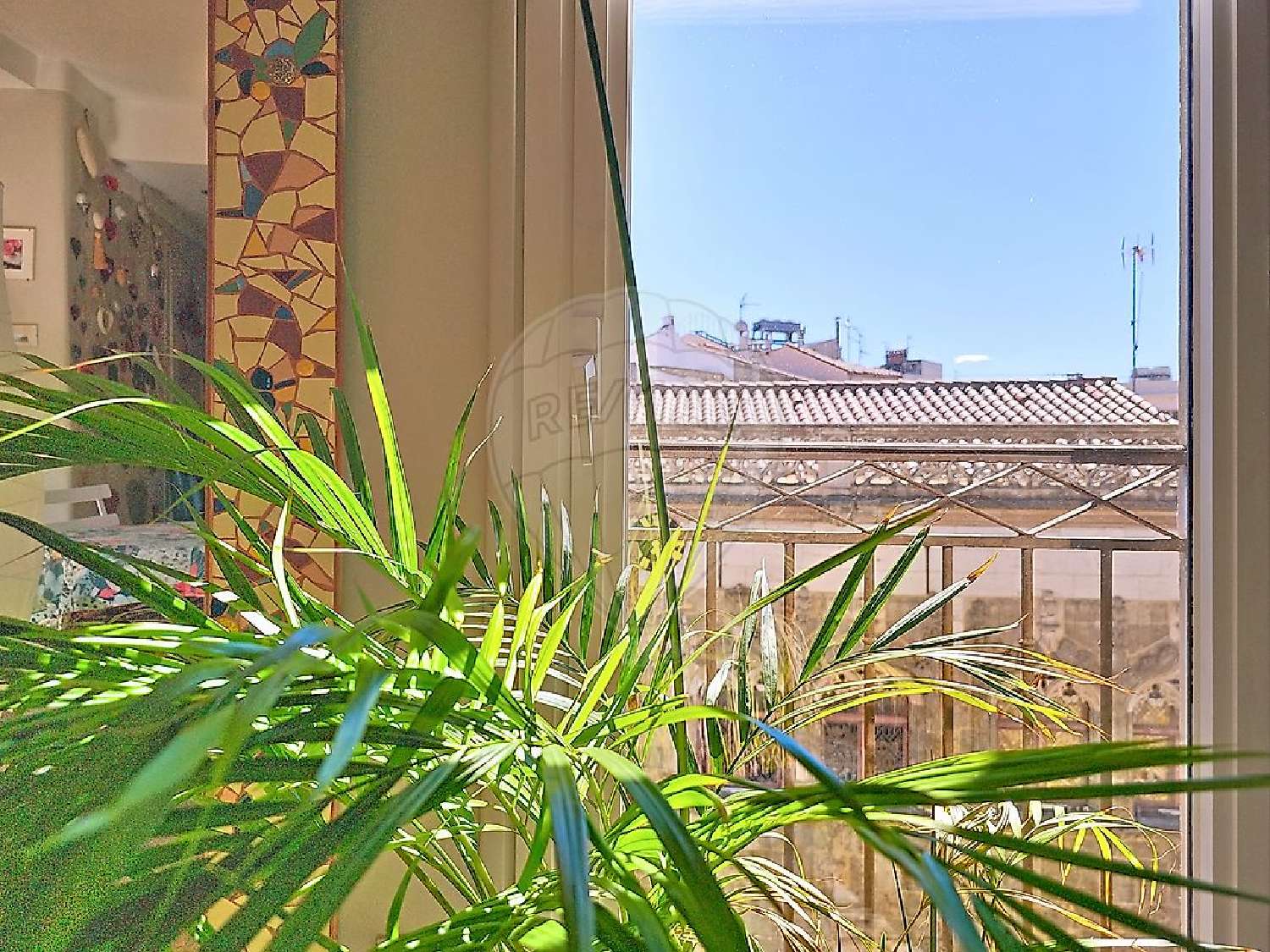 te koop appartement Perpignan Pyrénées-Orientales 3