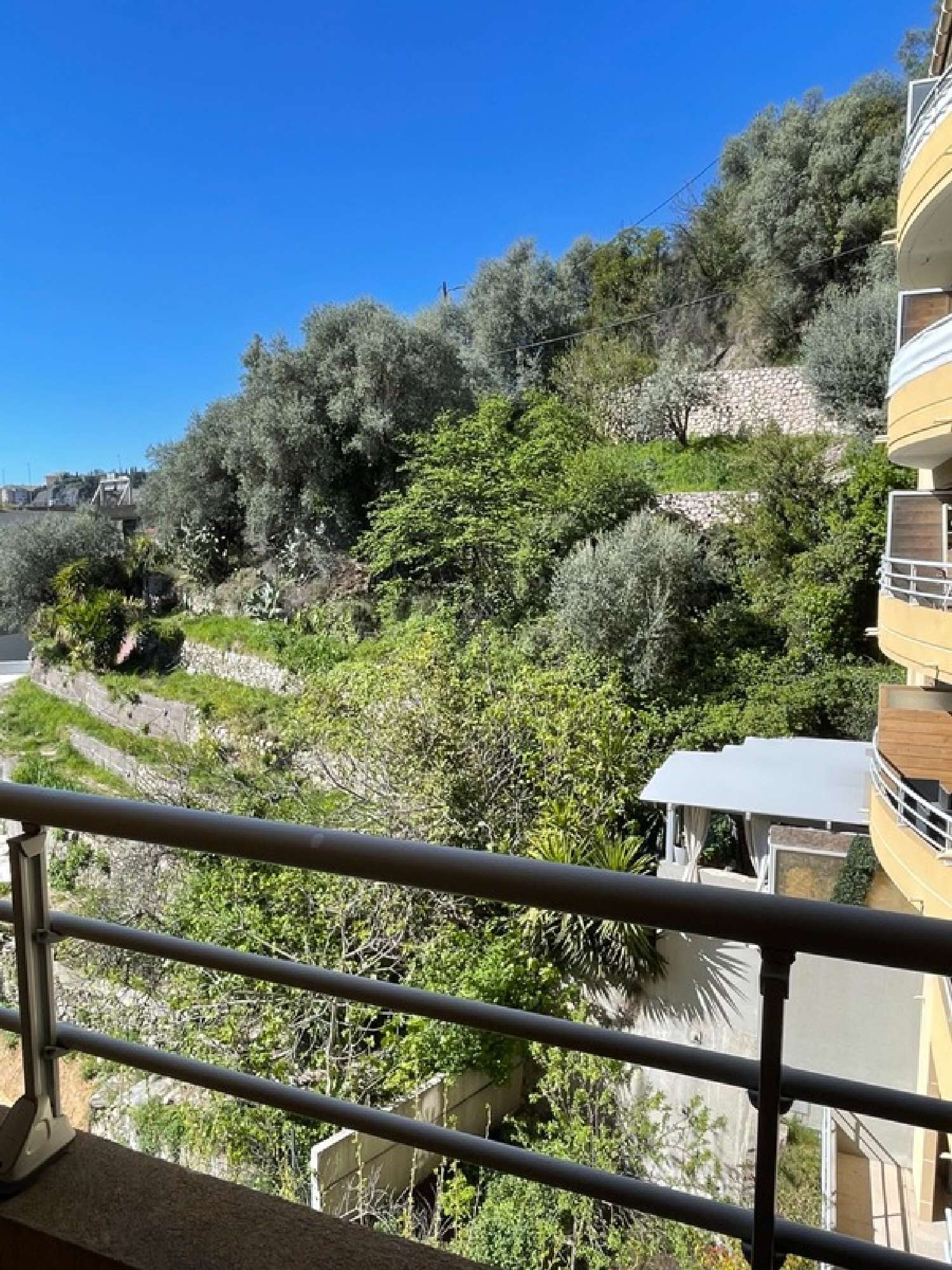  te koop appartement Saint-André Alpes-Maritimes 1