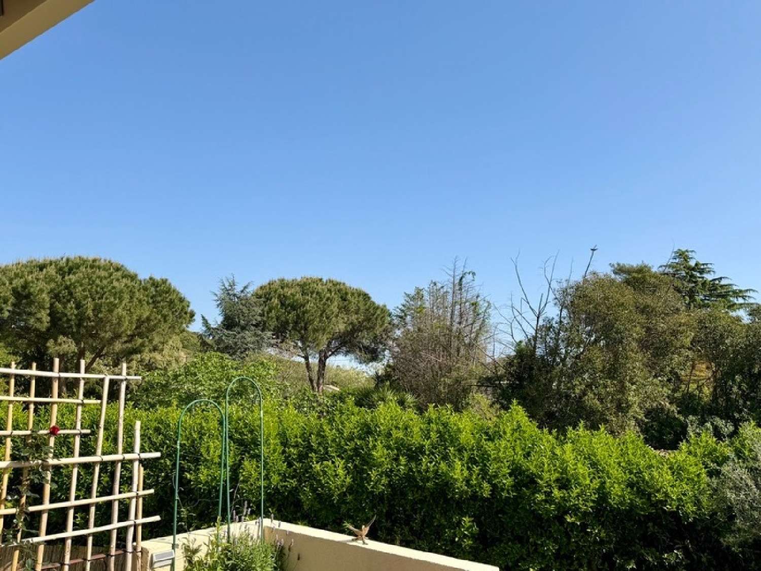  en venta apartamento Santa-Lucia-di-Moriani Haute-Corse 5