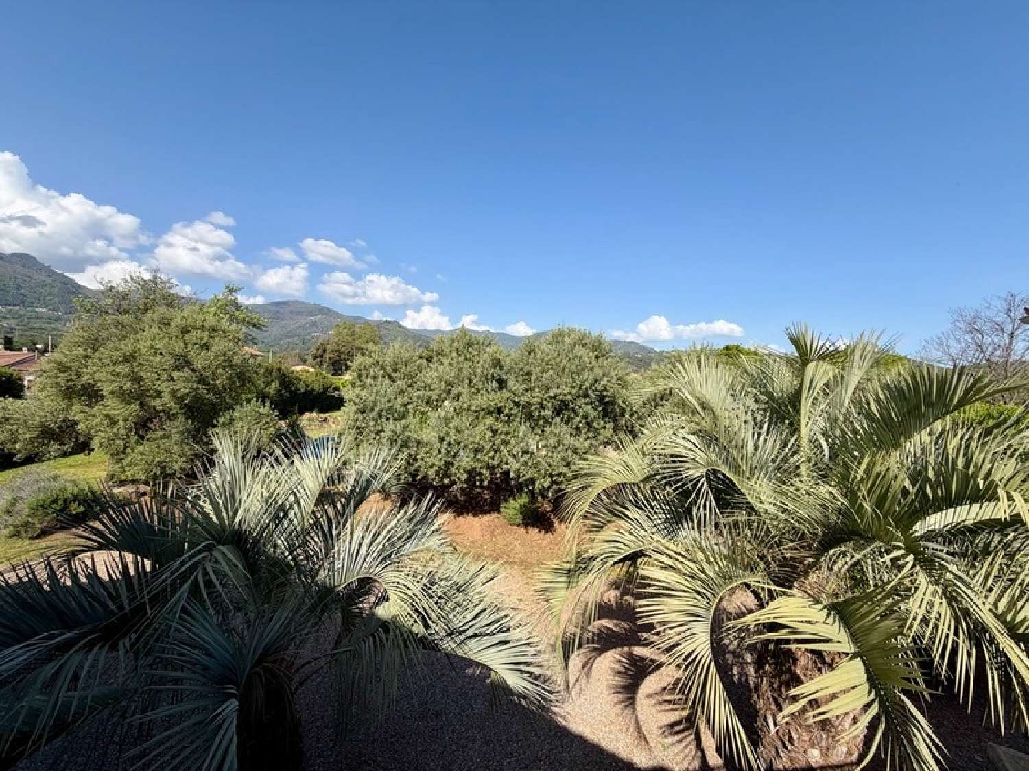  en venta apartamento Santa-Lucia-di-Moriani Haute-Corse 7