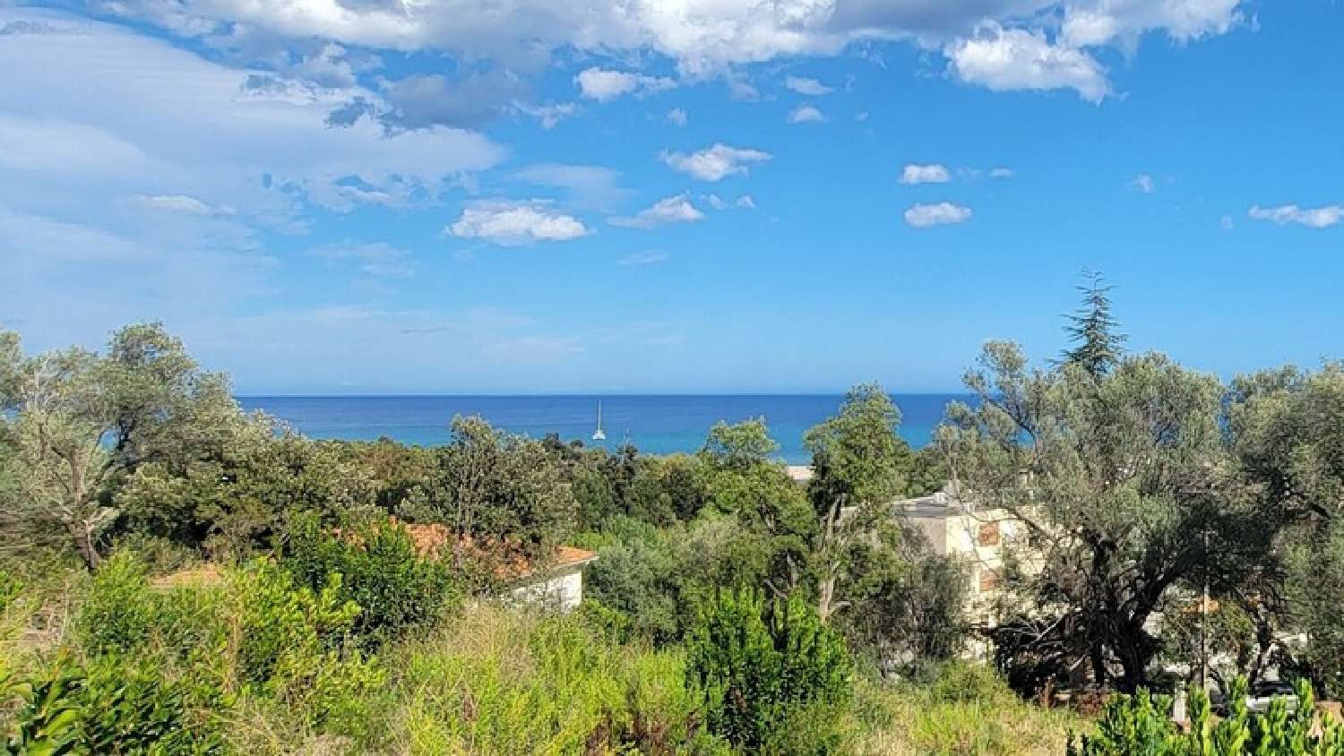 à vendre appartement Sari-Solenzara Corse-du-Sud 3