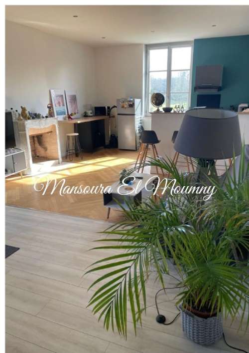 Savonnières Indre-et-Loire appartement foto 7348335