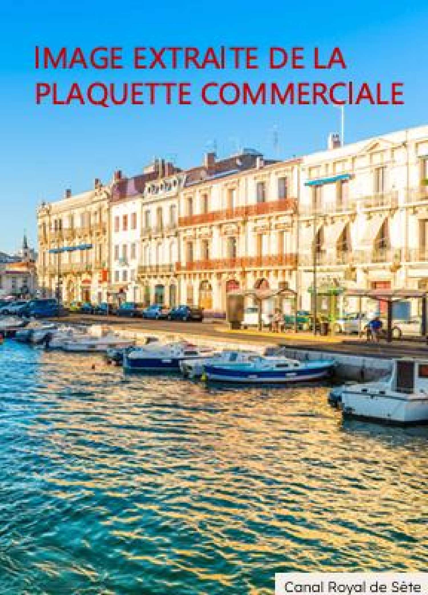  te koop appartement Sète Hérault 6