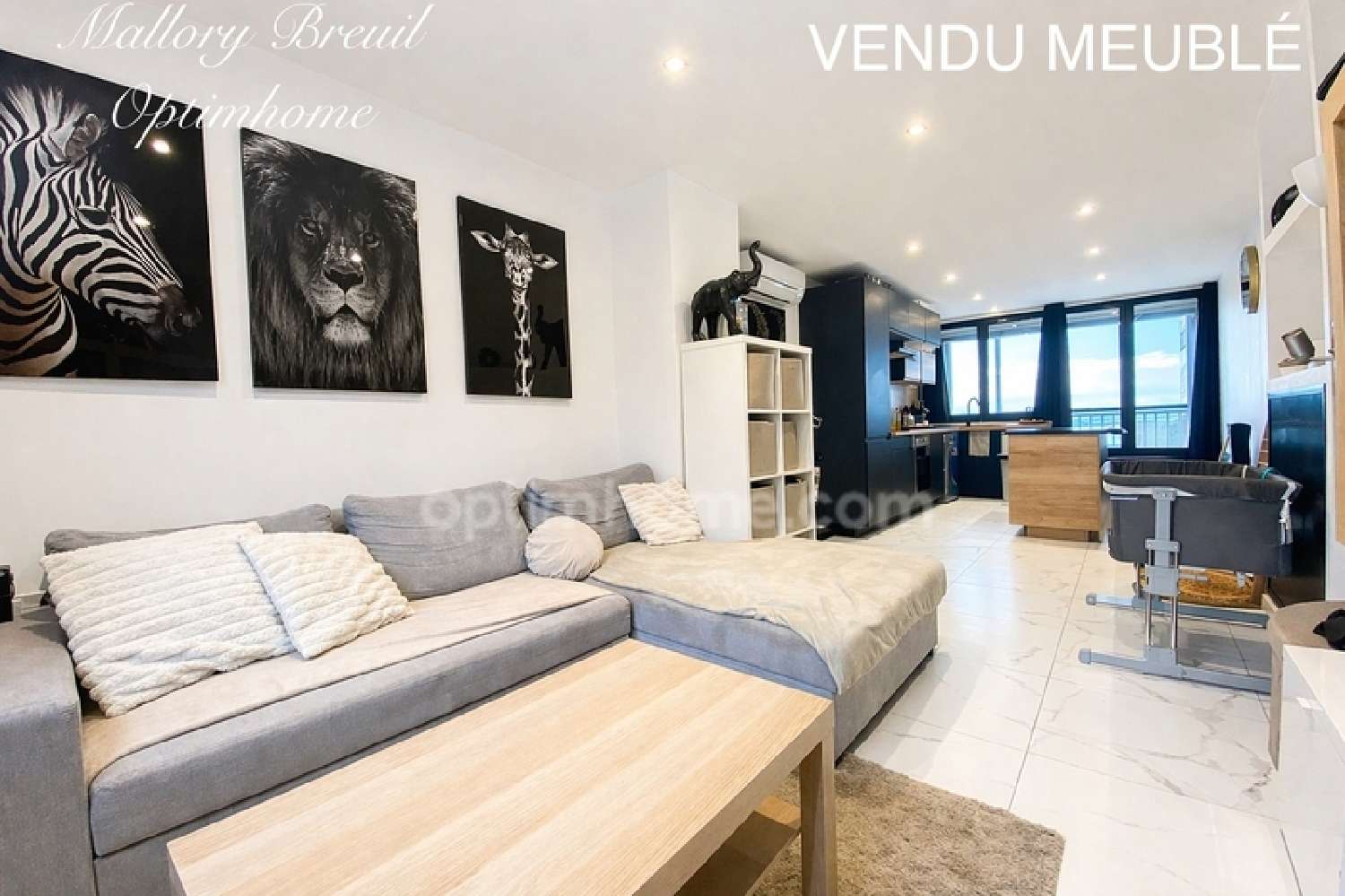  te koop appartement Sète Hérault 1