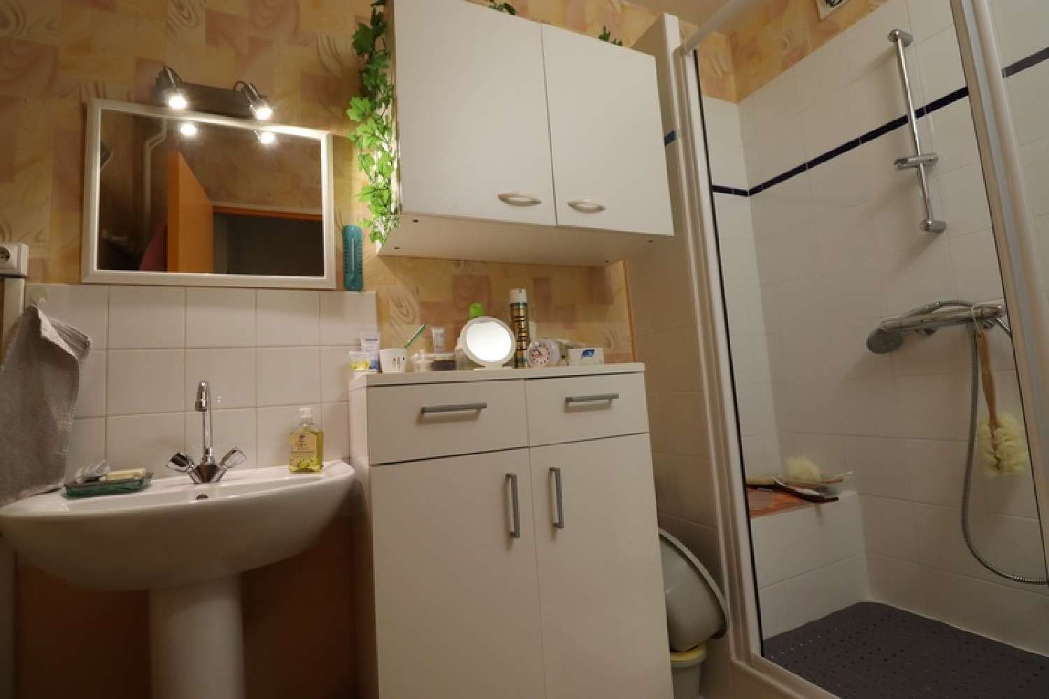  for sale apartment Terrenoire Loire 4