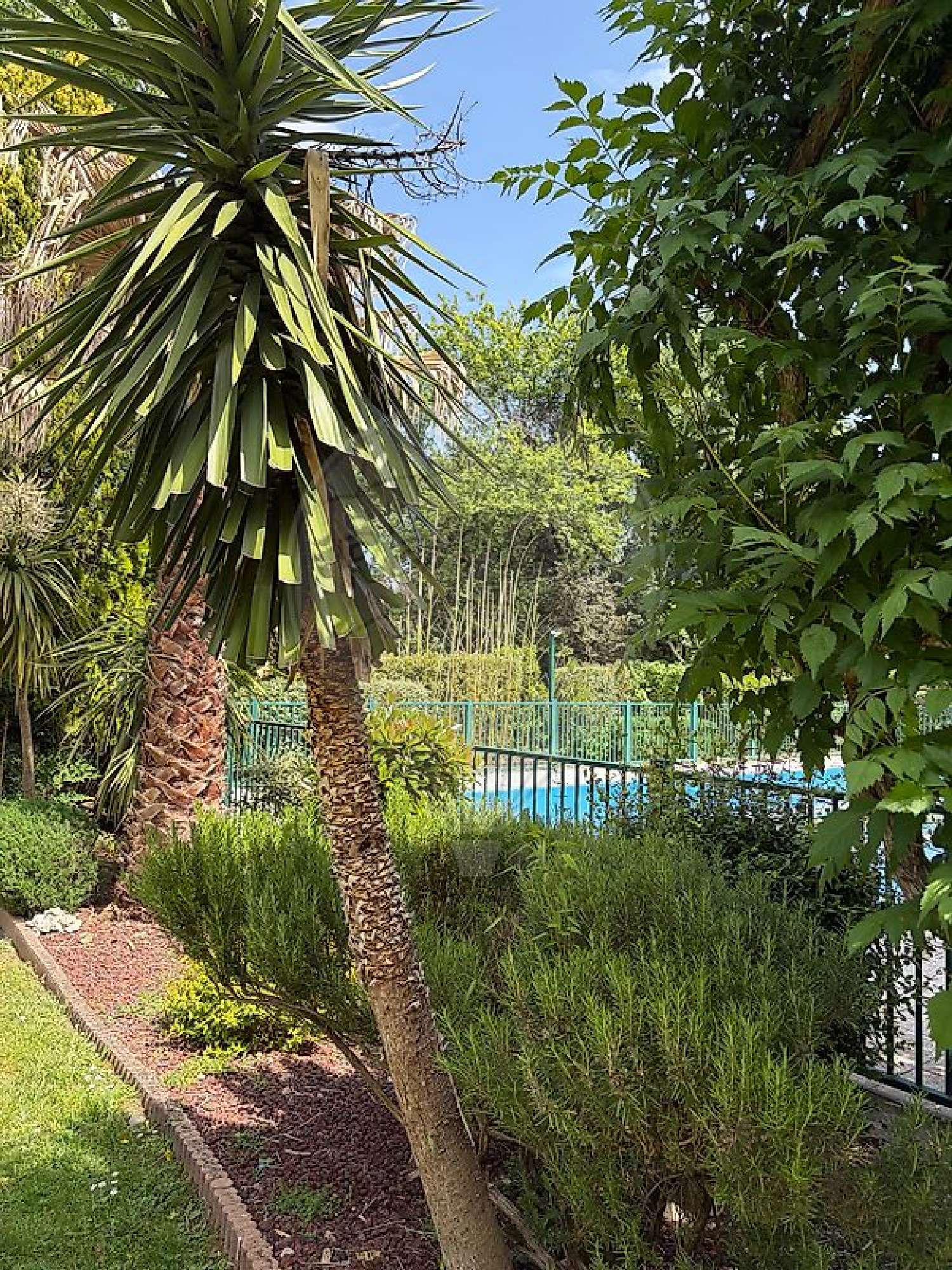  for sale apartment Toulouse 31200 Haute-Garonne 5