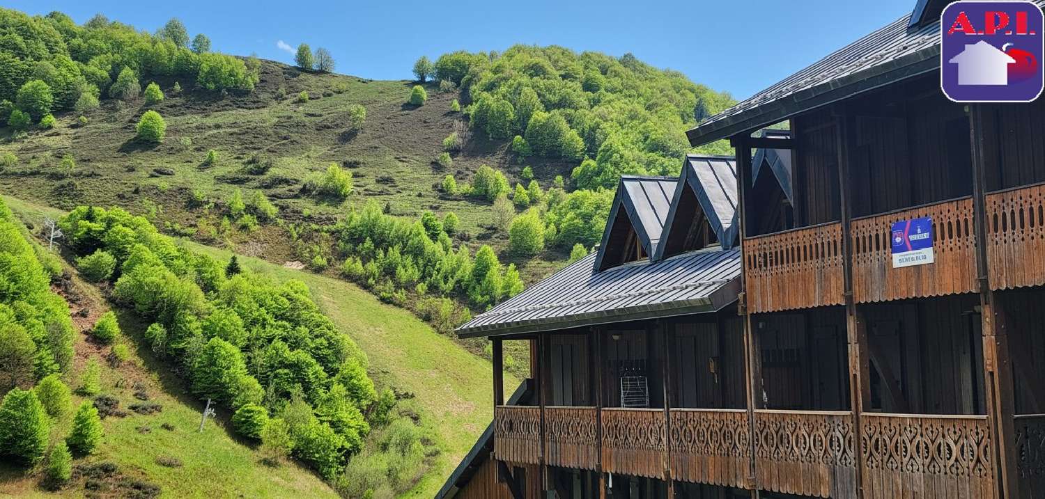  for sale apartment Ustou Ariège 7