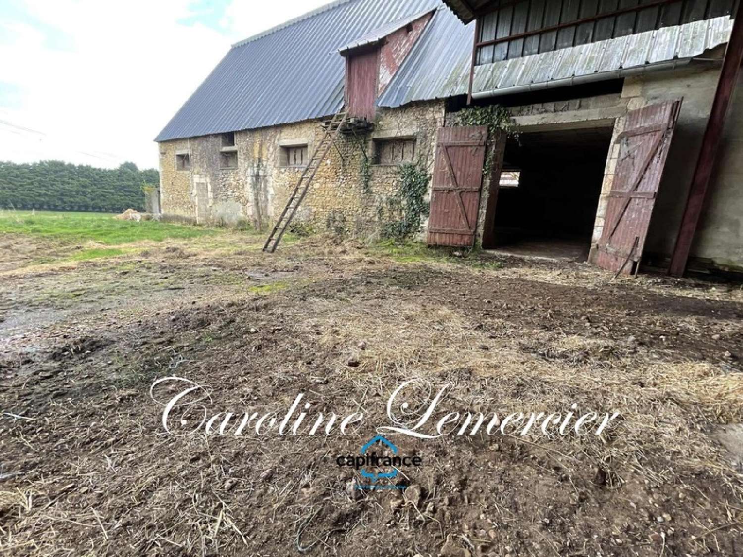  for sale barn Connerré Sarthe 7