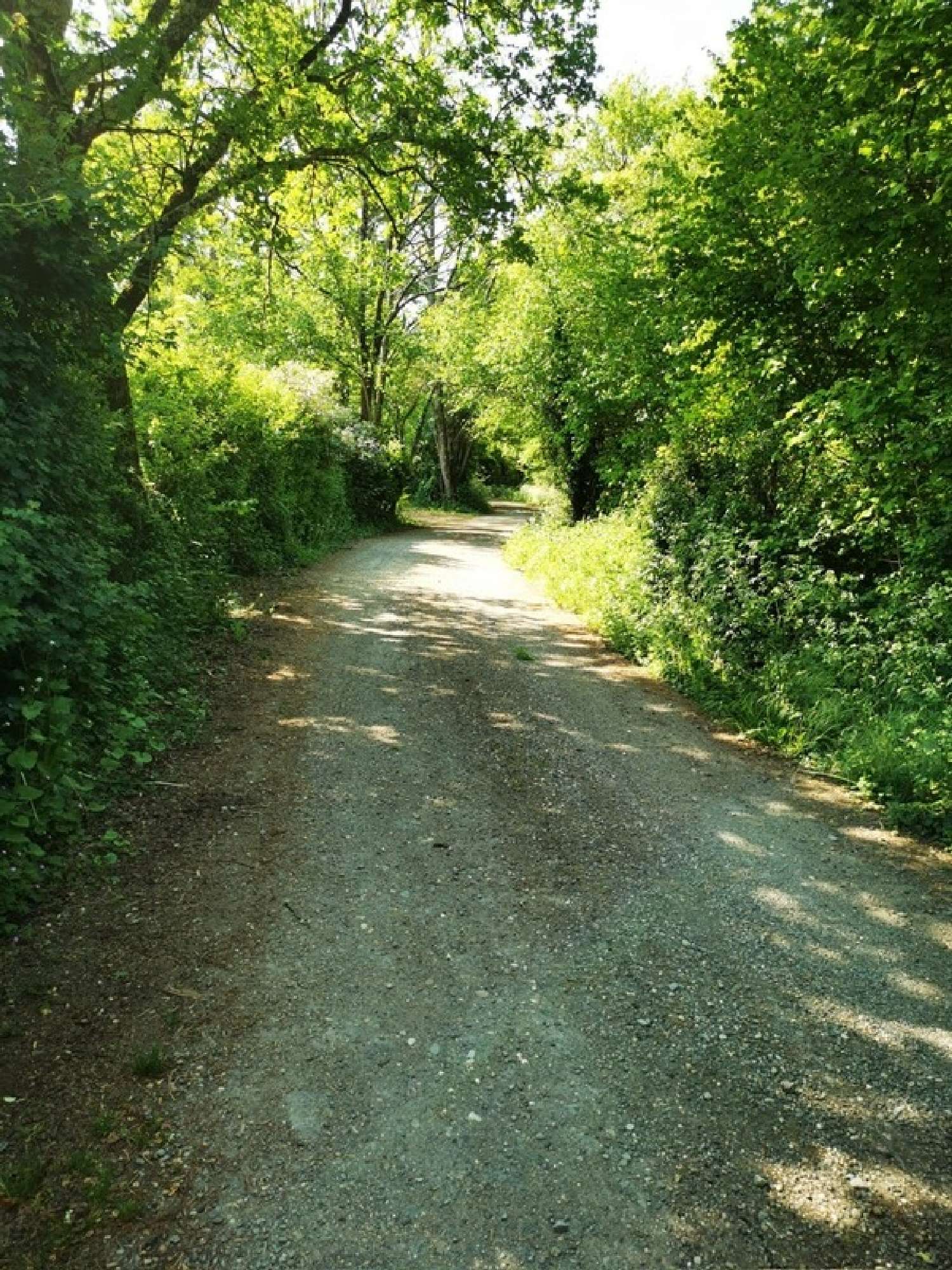  for sale barn Croignon Gironde 2