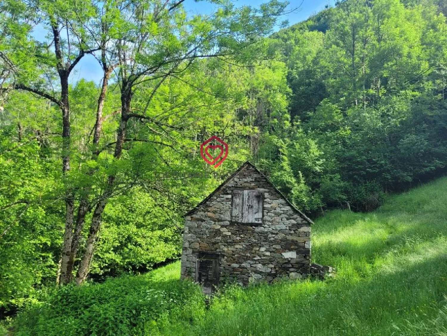  à vendre grange Le Port Ariège 1