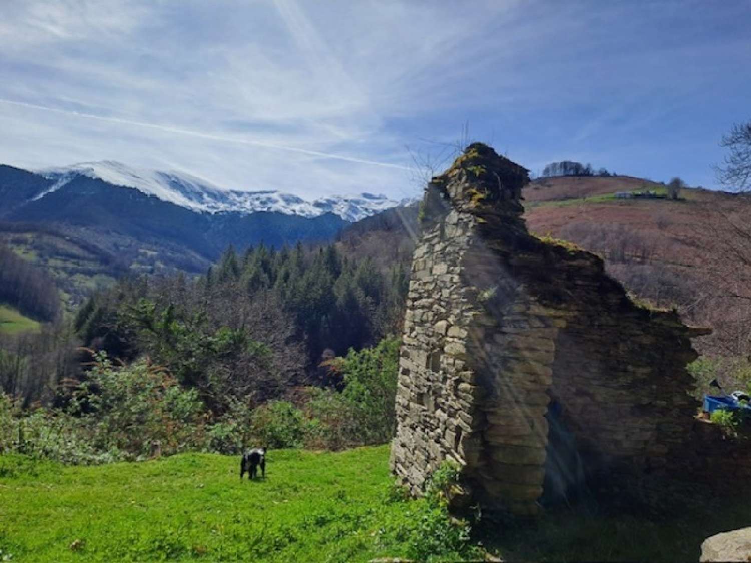 for sale barn Ordizan Hautes-Pyrénées 4