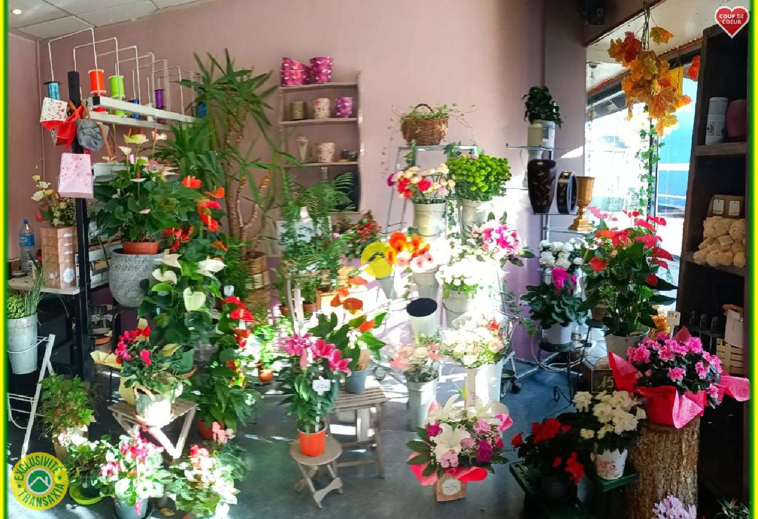 te koop gebouw Neuvy-sur-Barangeon Cher 2