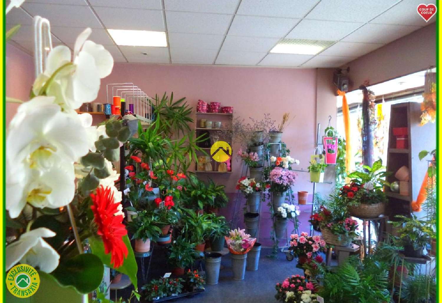 te koop gebouw Neuvy-sur-Barangeon Cher 4