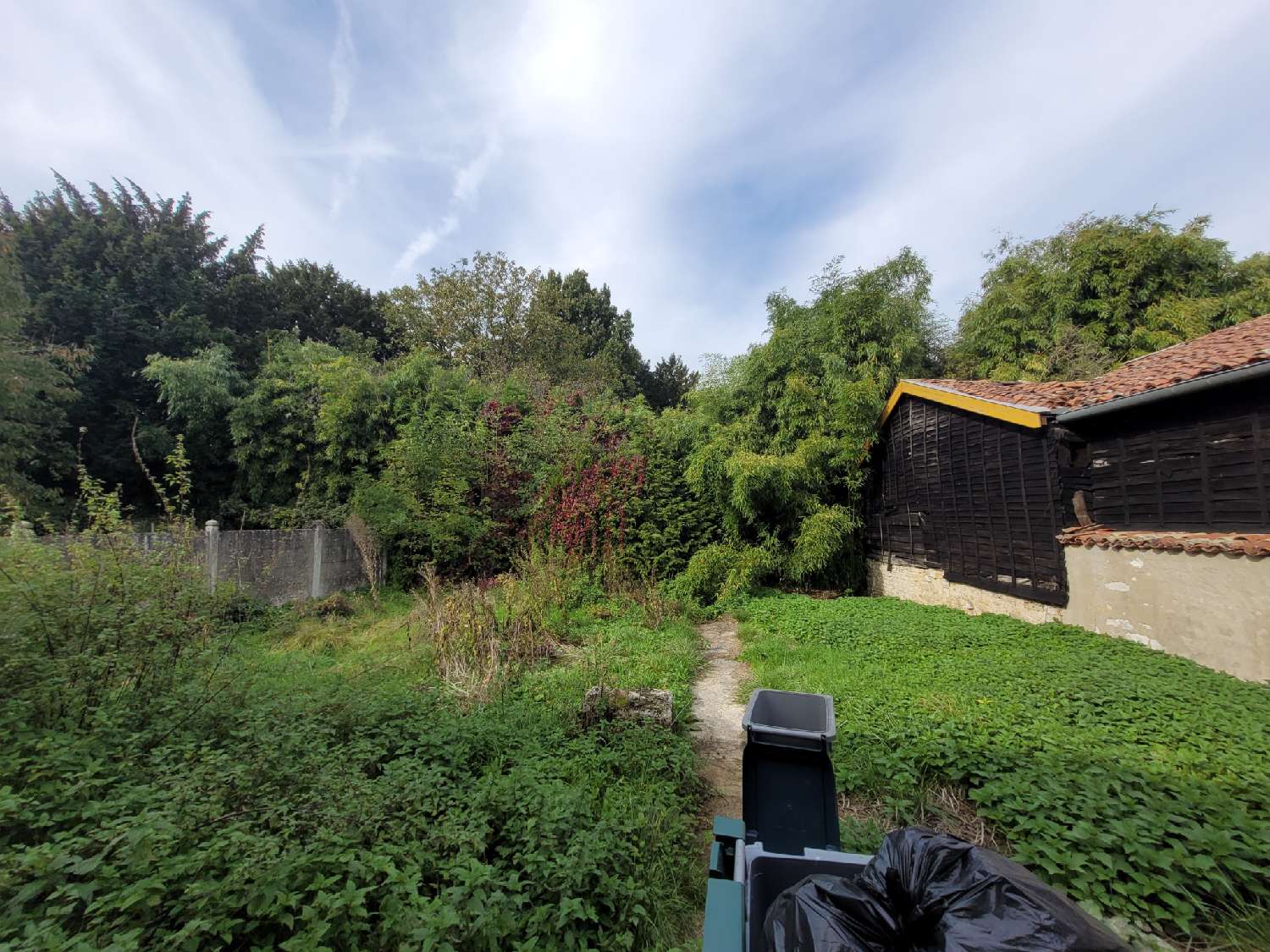  te koop gebouw Wassy Haute-Marne 6