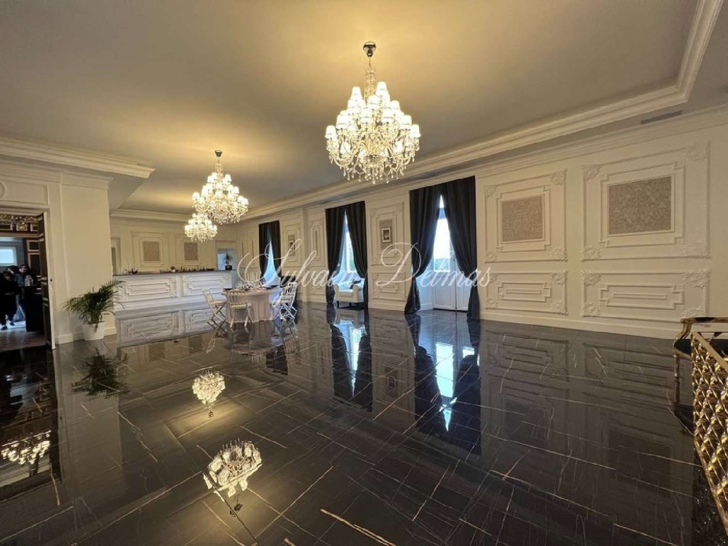 for sale castle Le Mans Sarthe 6