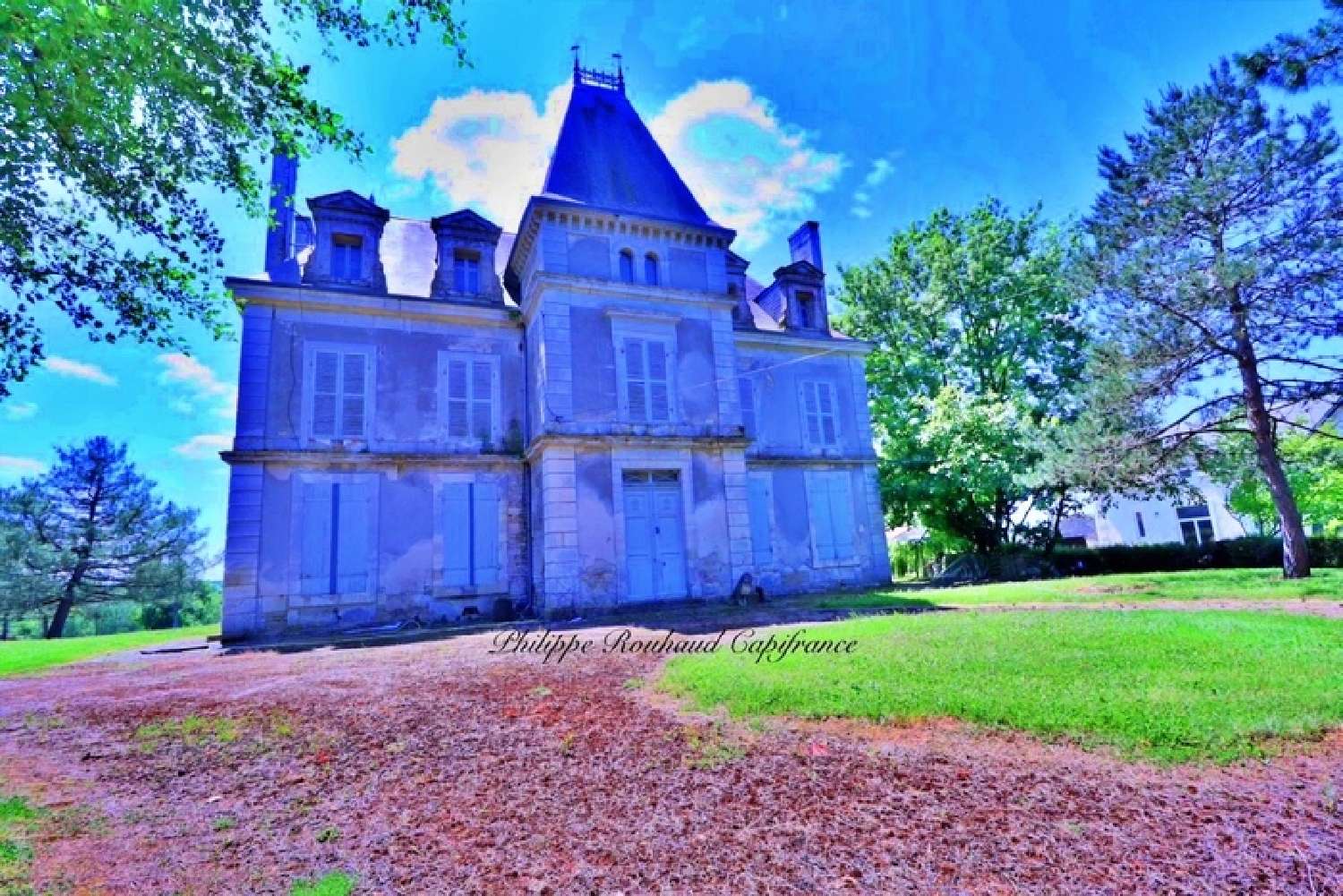  à vendre château Nieul-sur-l'Autise Vendée 2