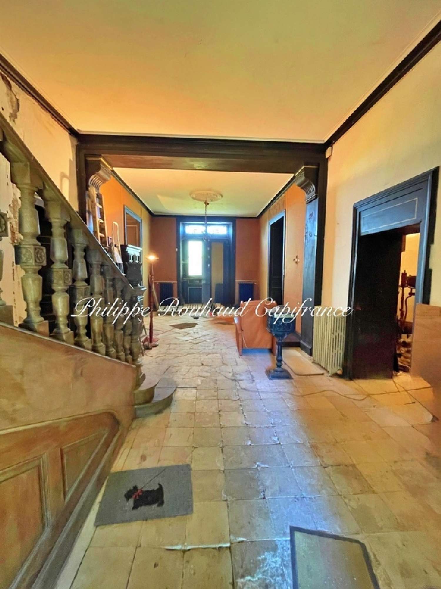  à vendre château Nieul-sur-l'Autise Vendée 4