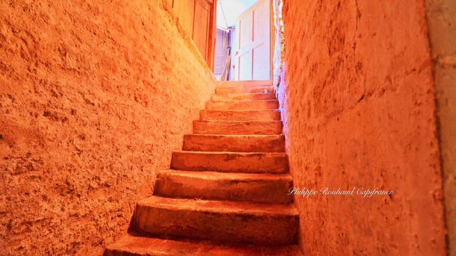  à vendre château Nieul-sur-l'Autise Vendée 7