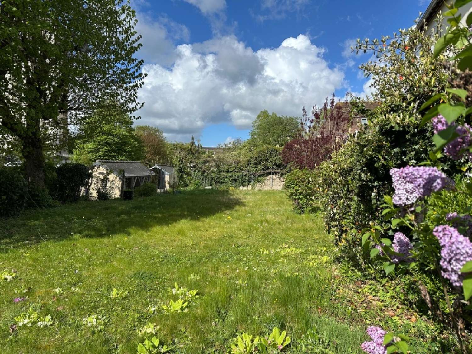  à vendre maison de ville Alençon Orne 2