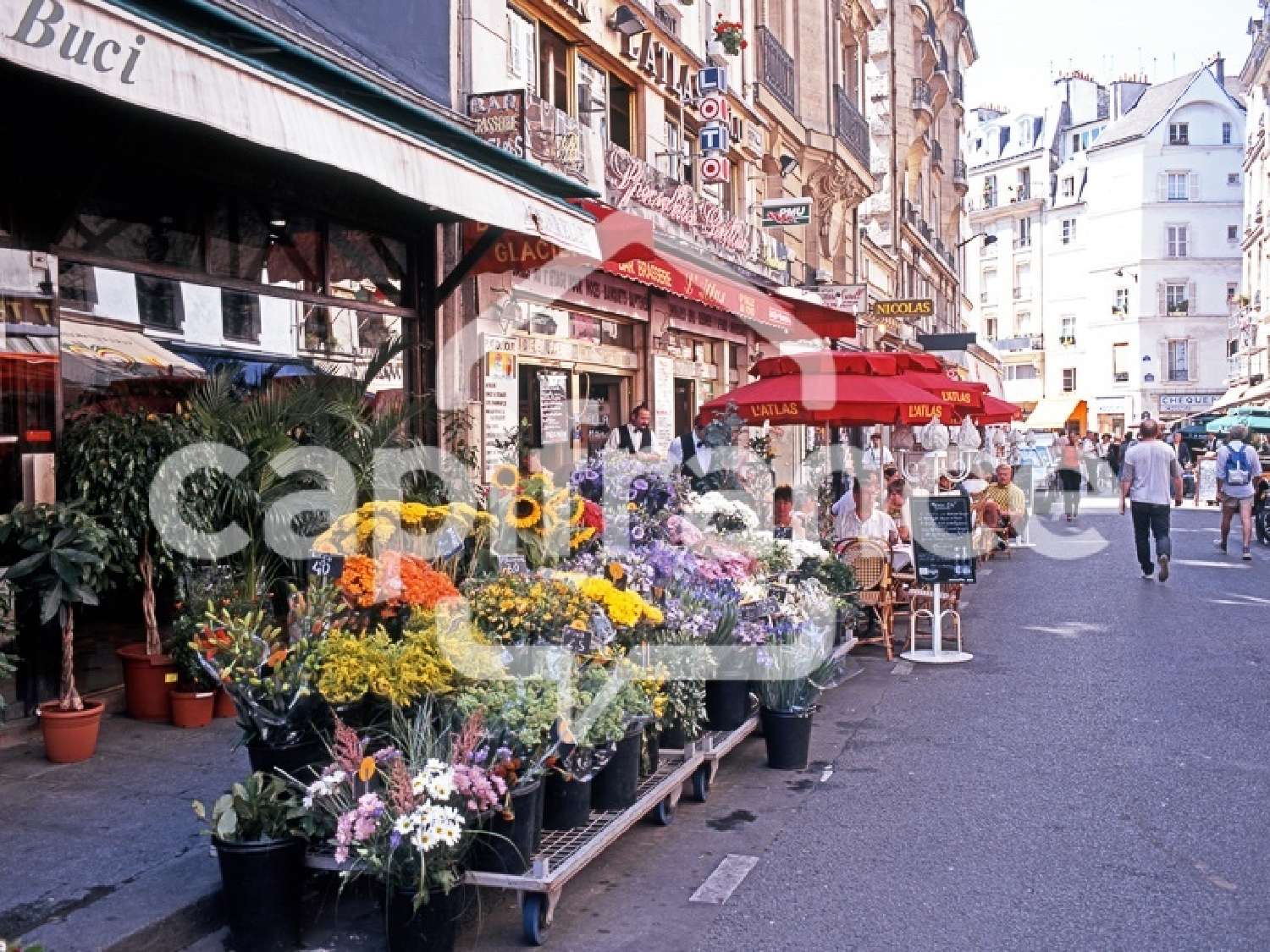 for sale commercial Beaumont-sur-Sarthe Sarthe 4