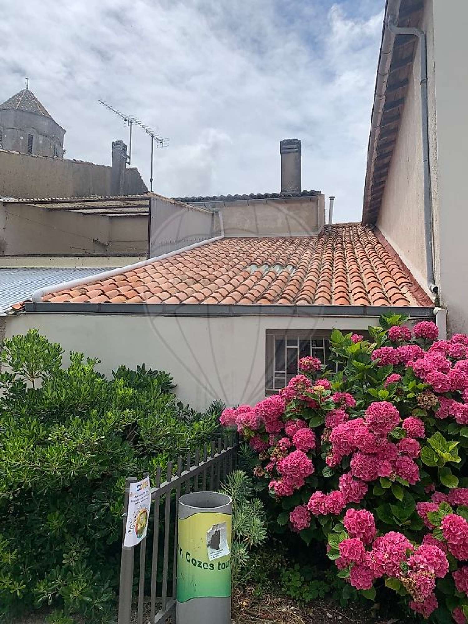  for sale commercial Cozes Charente-Maritime 6