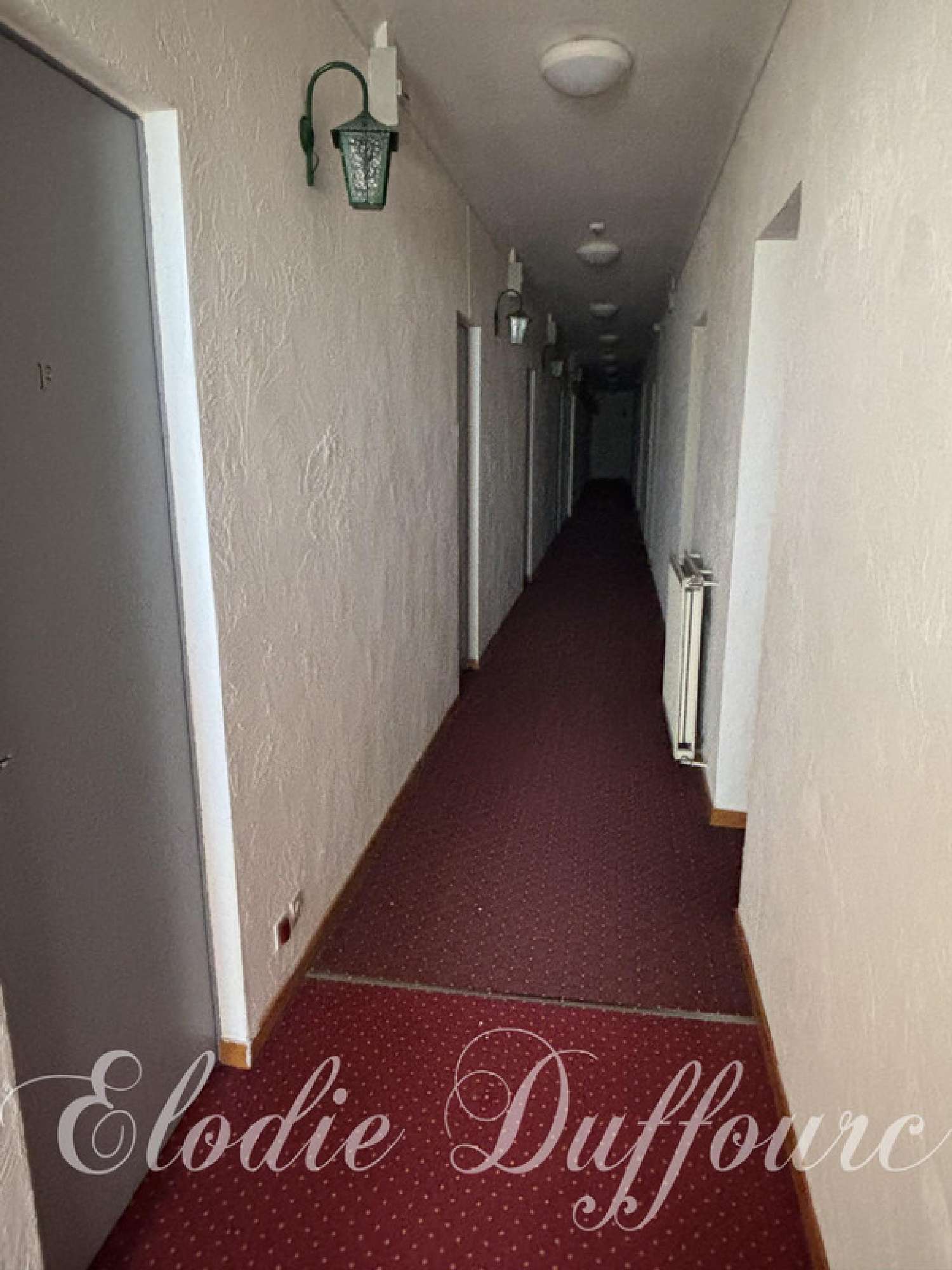  à vendre commerce Lamarque-Pontacq Hautes-Pyrénées 8