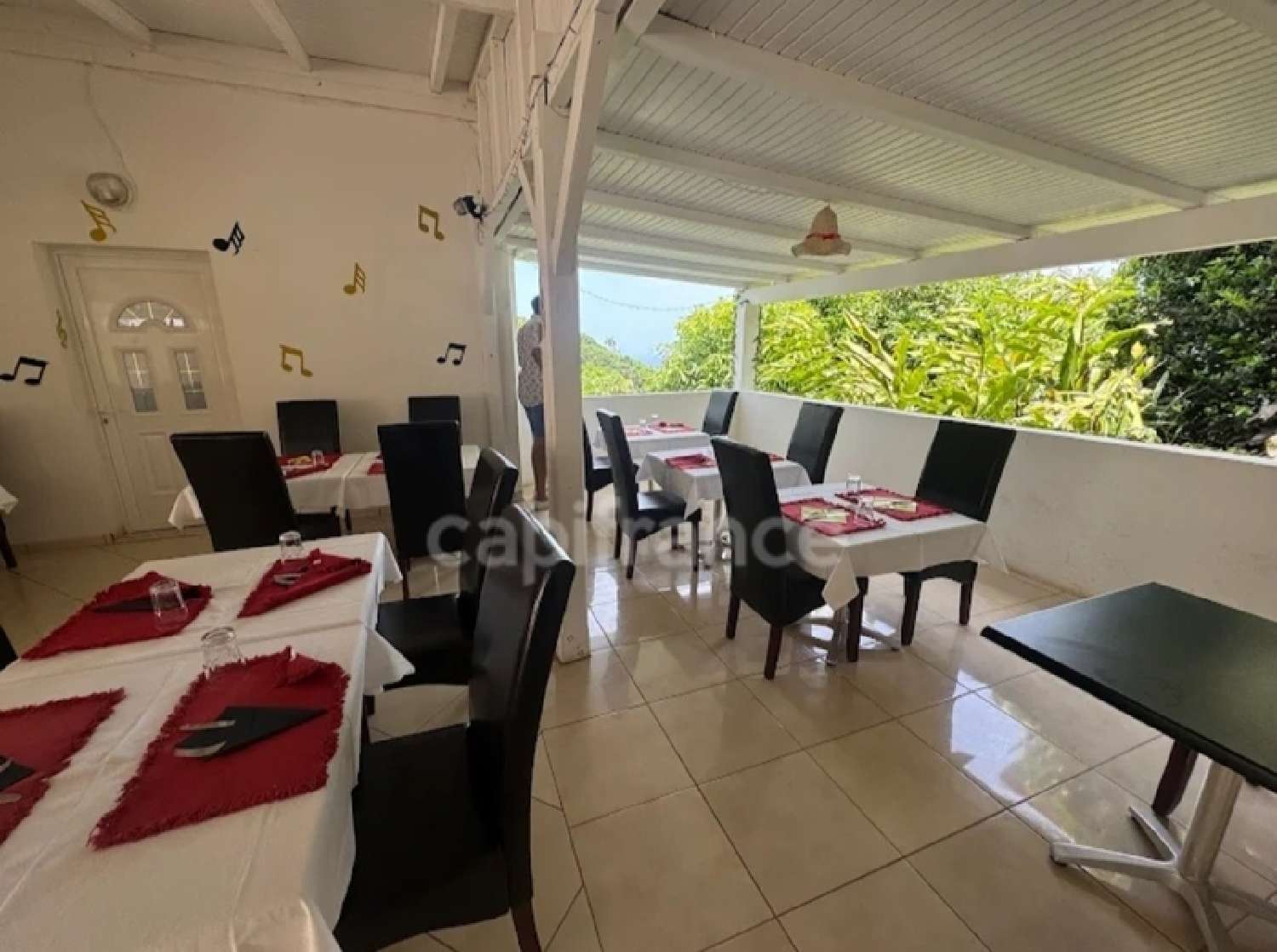  à vendre commerce Le Marin Martinique 2