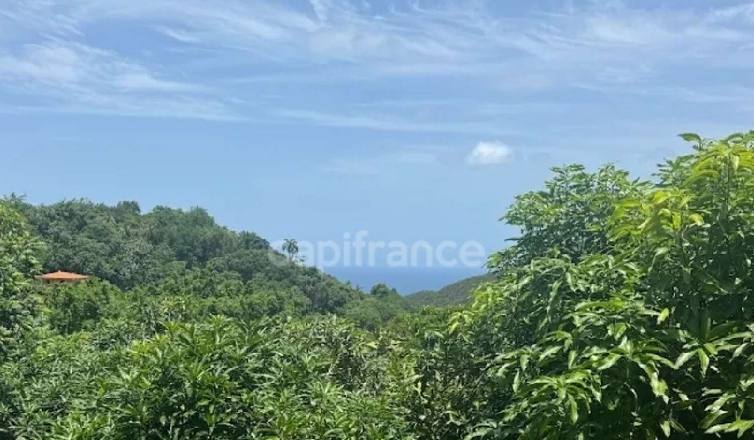  à vendre commerce Le Marin Martinique 4
