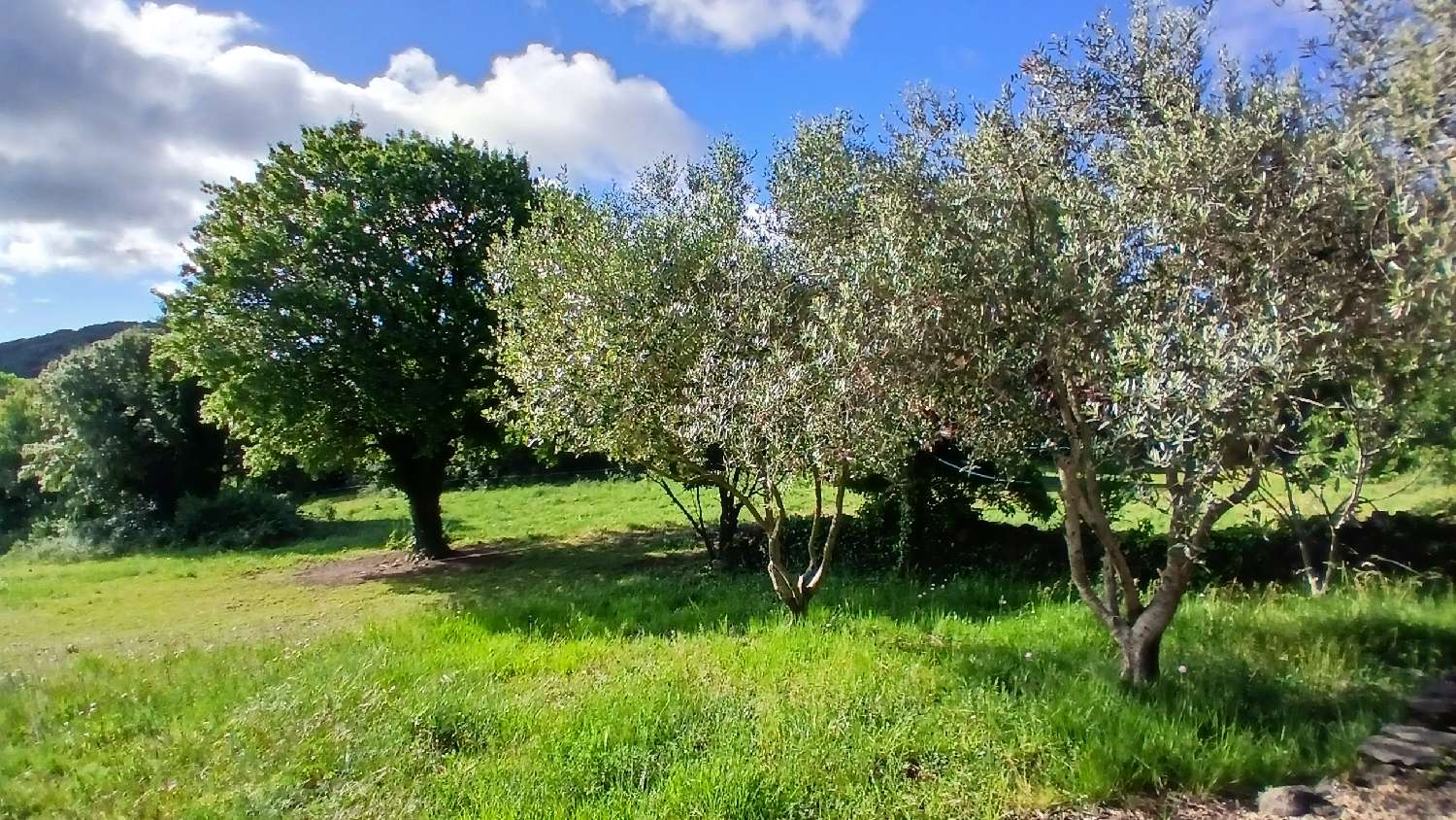 à vendre maison indépendant Ferrières-Poussarou Hérault 4