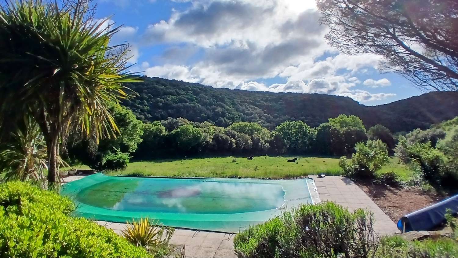à vendre maison indépendant Ferrières-Poussarou Hérault 5