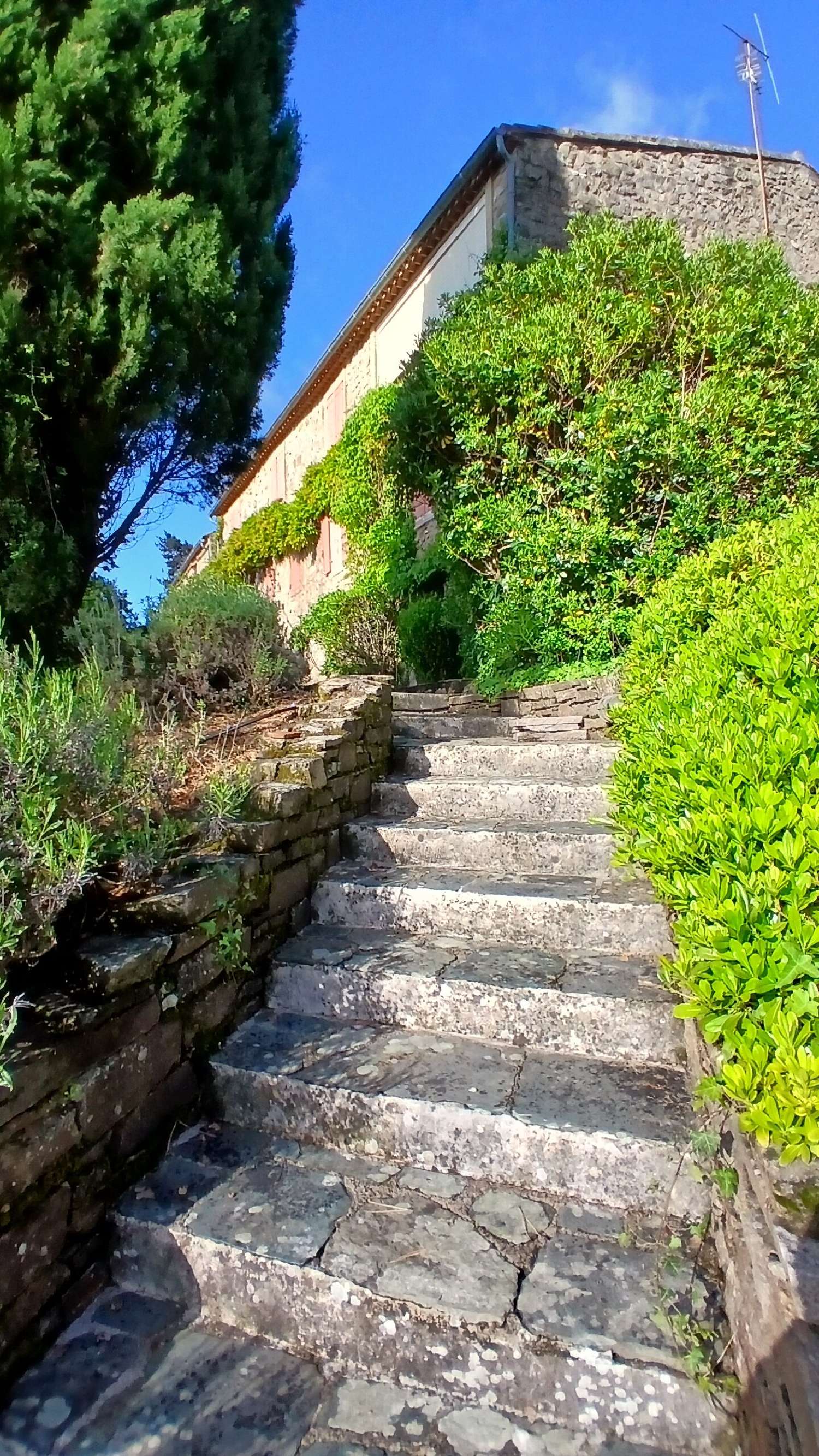 à vendre maison indépendant Ferrières-Poussarou Hérault 6