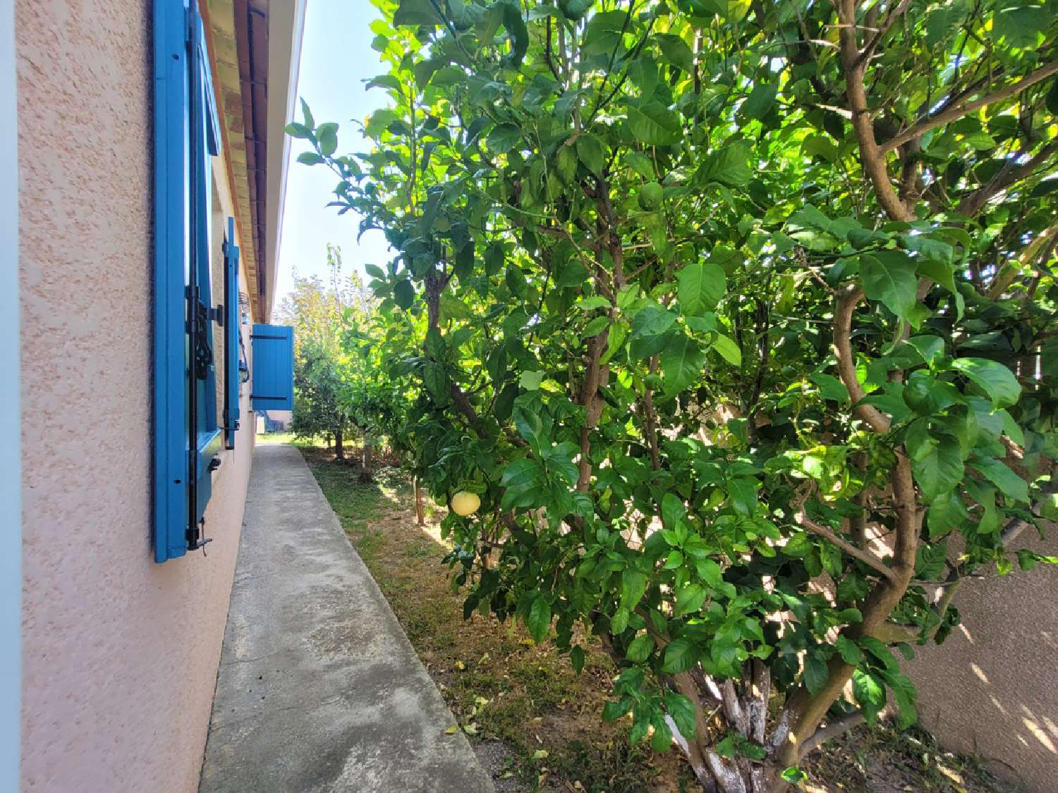  à vendre maison indépendant Nézignan-l'Évêque Hérault 4