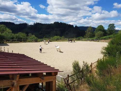 Arconsat Puy-de-Dôme propriété foto 7347181