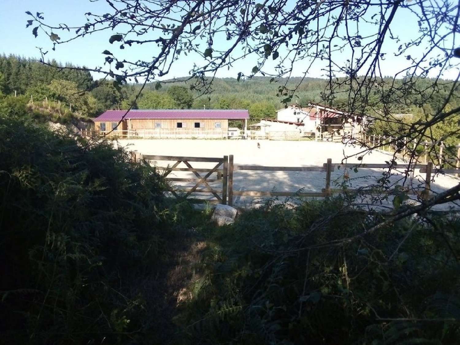 à vendre propriété Arconsat Puy-de-Dôme 2