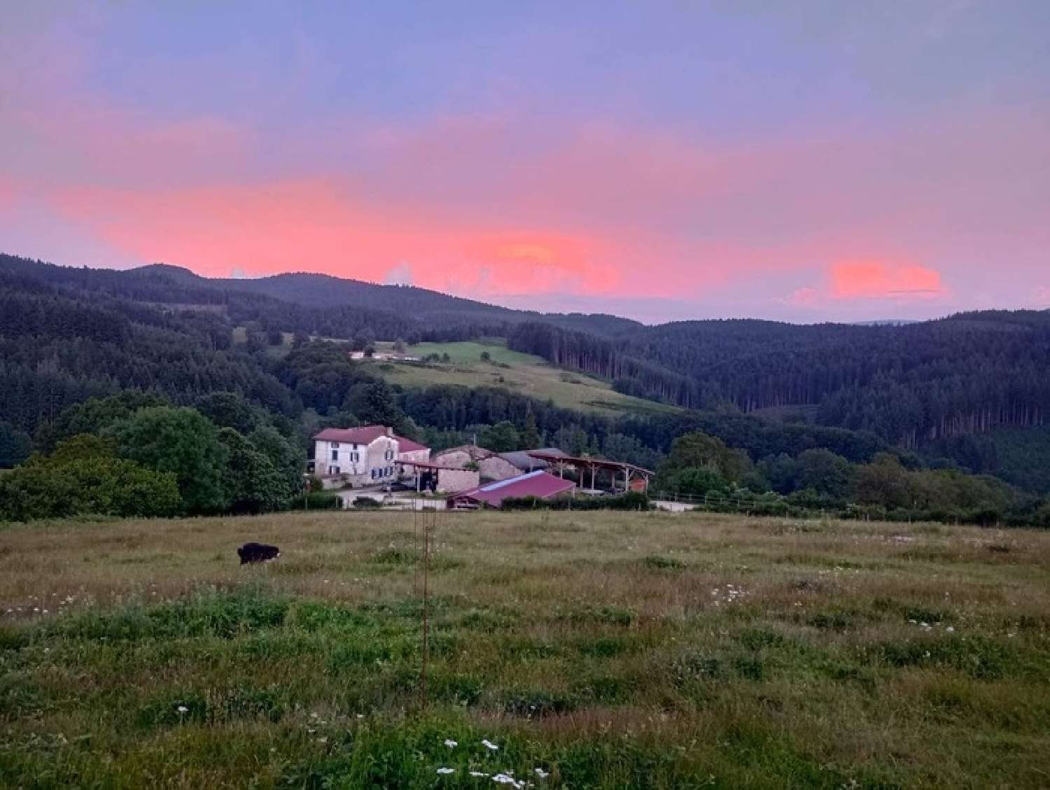 à vendre propriété Arconsat Puy-de-Dôme 3