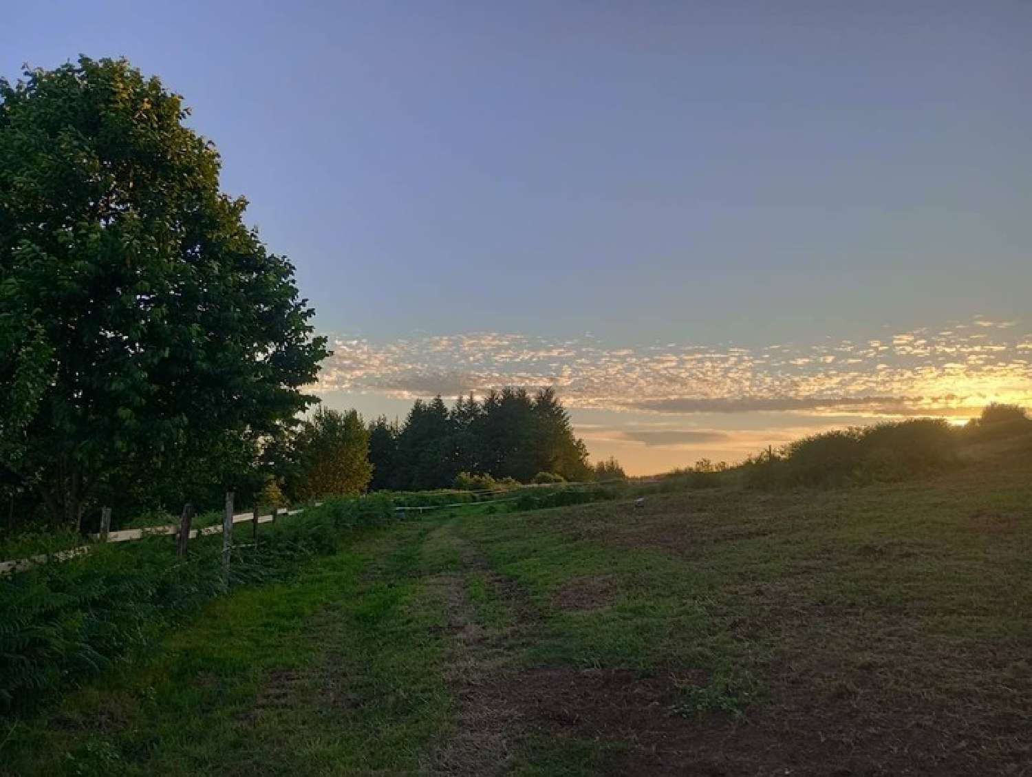 à vendre propriété Arconsat Puy-de-Dôme 4
