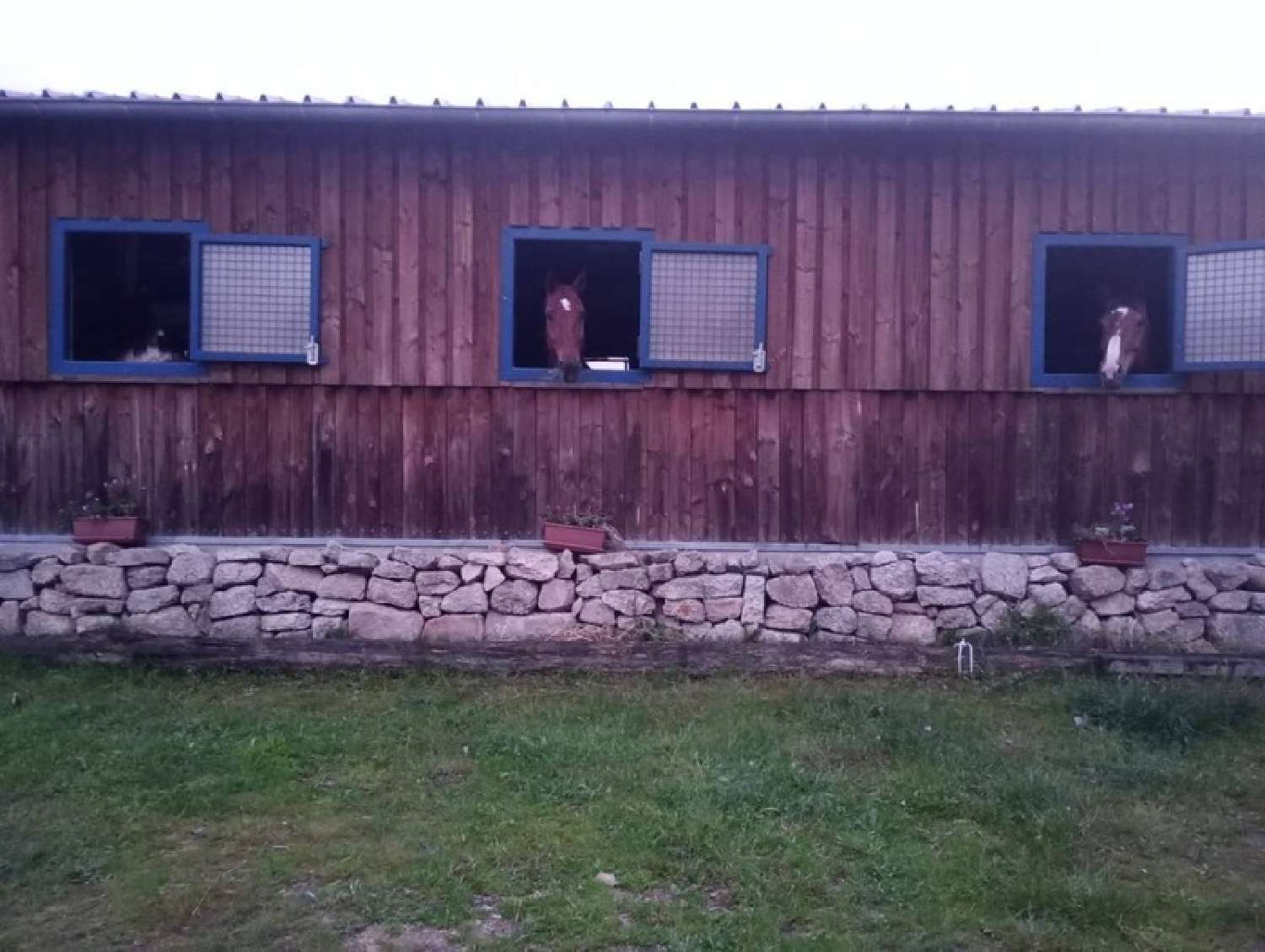 à vendre propriété Arconsat Puy-de-Dôme 8