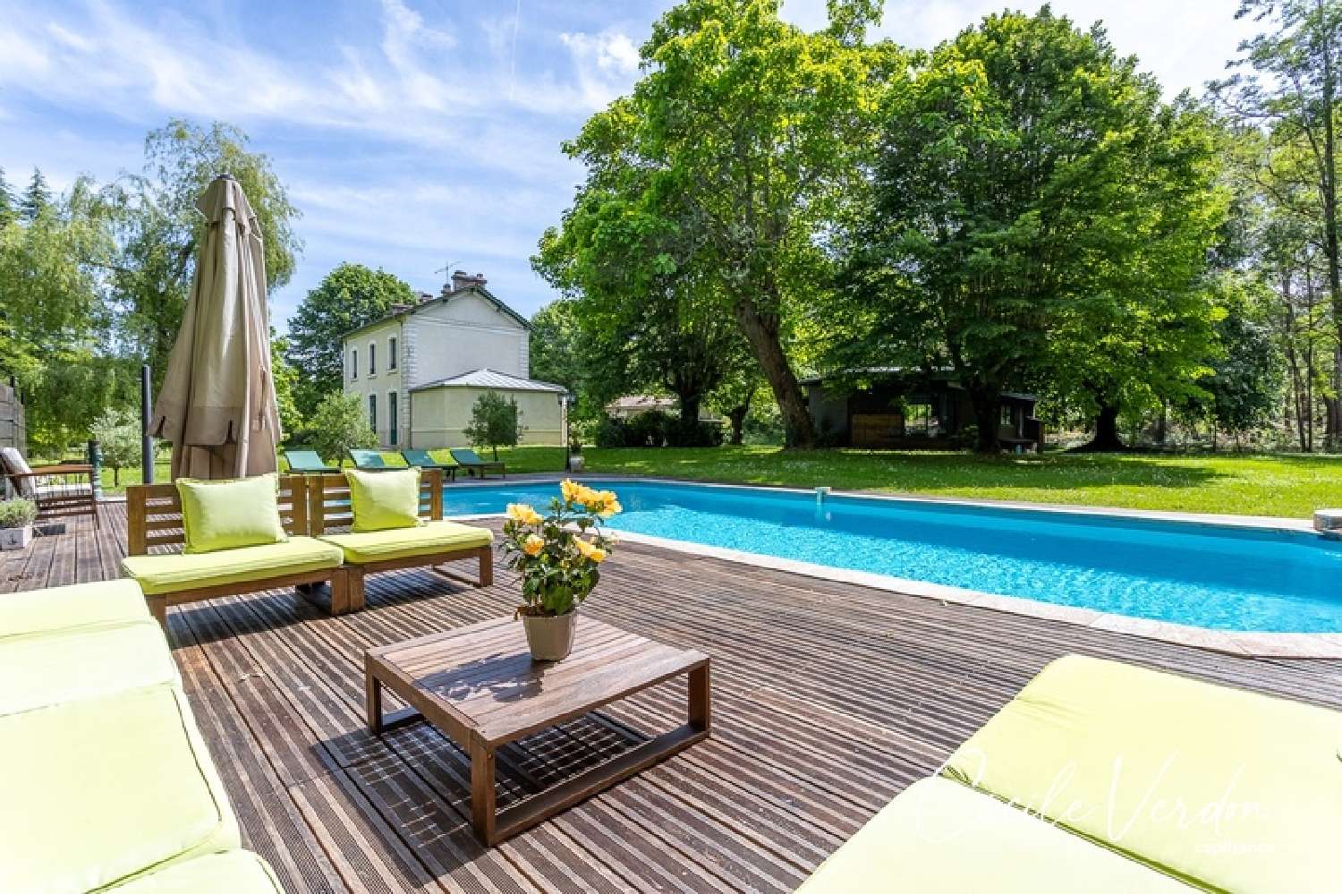  for sale estate Beleymas Dordogne 8
