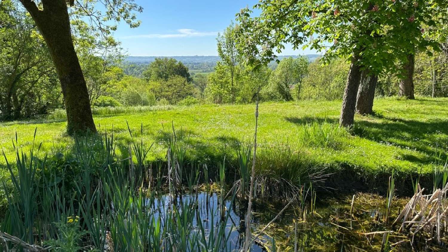  en venta finca rústica Bergerac Dordoña 2