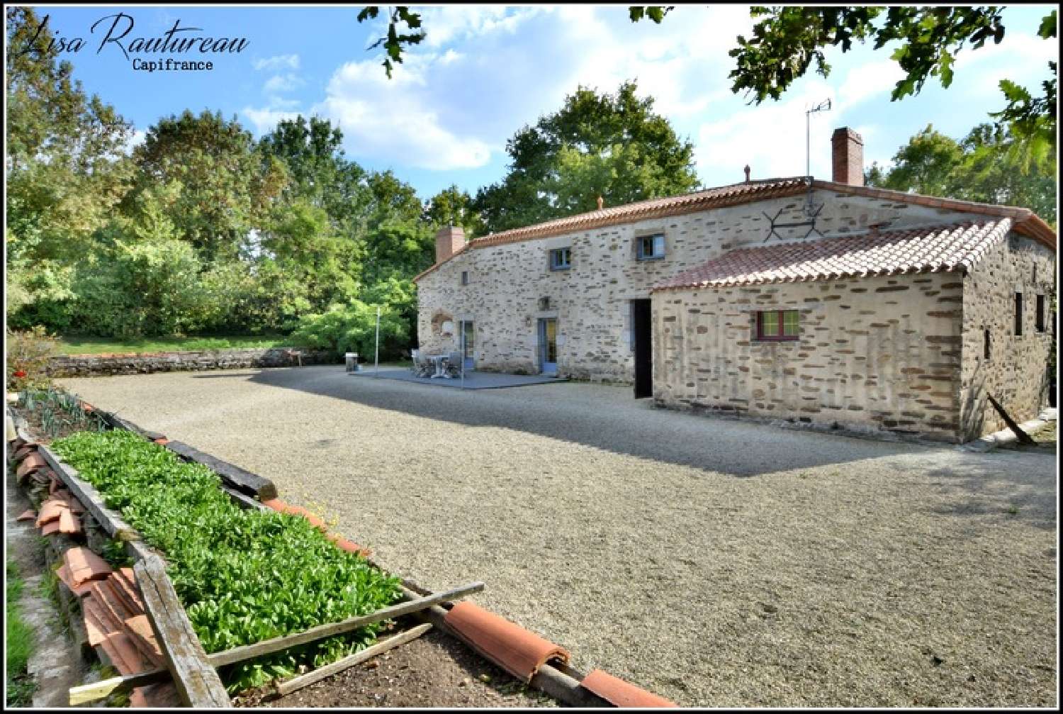  à vendre propriété Chavagnes-en-Paillers Vendée 4