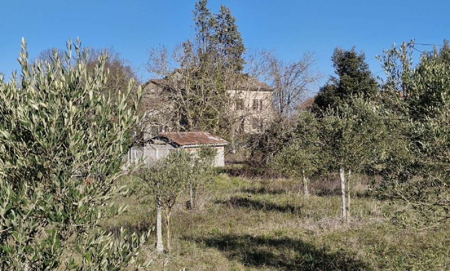  for sale estate Cordes-Sur-Ciel Tarn 4