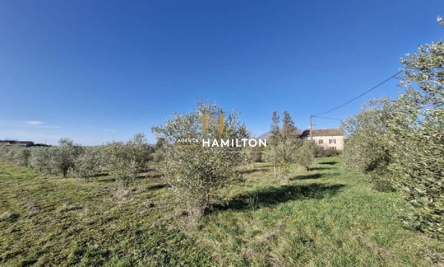  for sale estate Cordes-Sur-Ciel Tarn 5