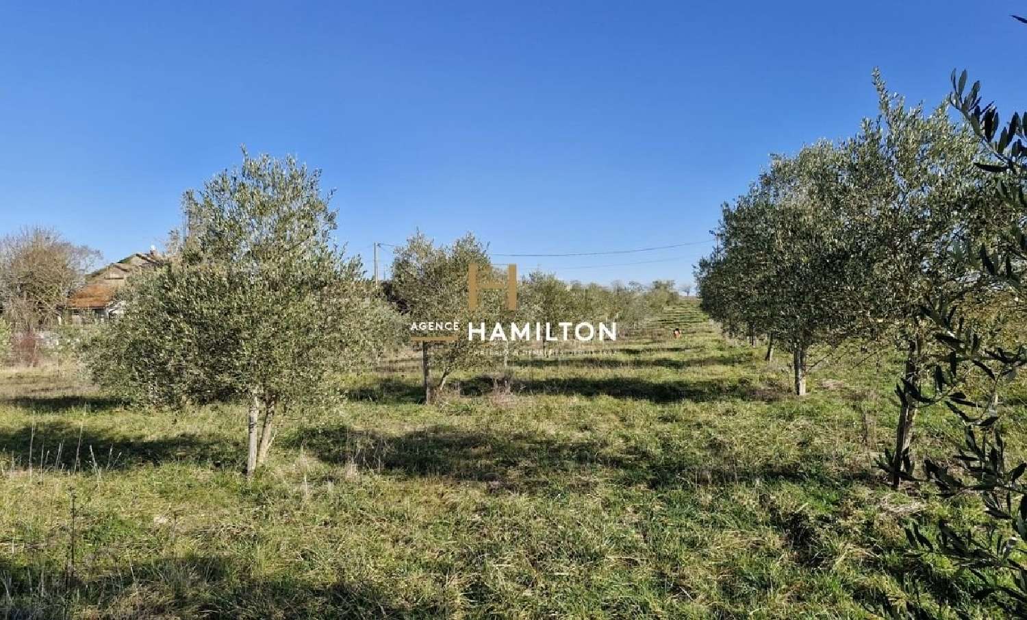 for sale estate Cordes-Sur-Ciel Tarn 8