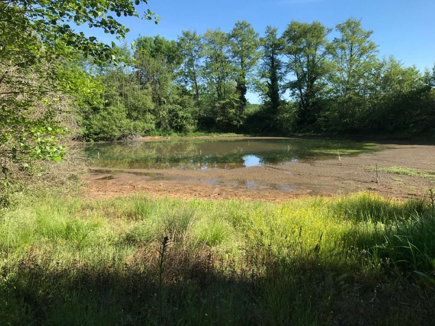 for sale estate Genouillac Charente 8