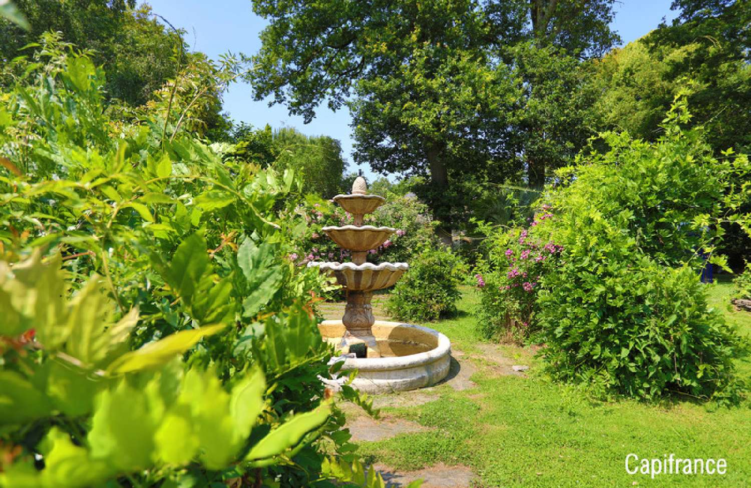  for sale estate La Gacilly Morbihan 2